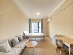 龙湖星图 1室1厅1卫