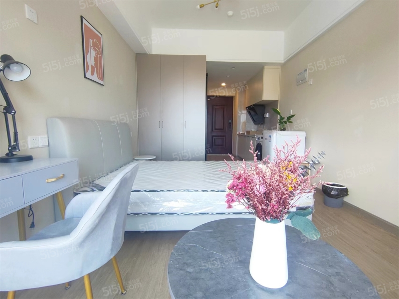 龙湖星图 1室1厅1卫